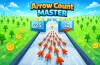 Arrow Count Master