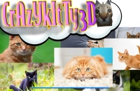 Play Crazy Kitty 3D now!