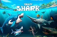 PLay Crazy Shark now!