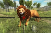 Play Lion Hunting 3D now!