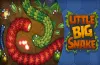 Little Big Snake