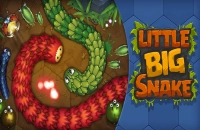 PLay Little Big Snake now!